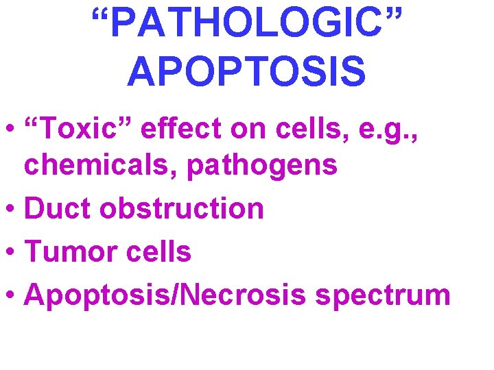 “PATHOLOGIC” APOPTOSIS • “Toxic” effect on cells, e. g. , chemicals, pathogens • Duct