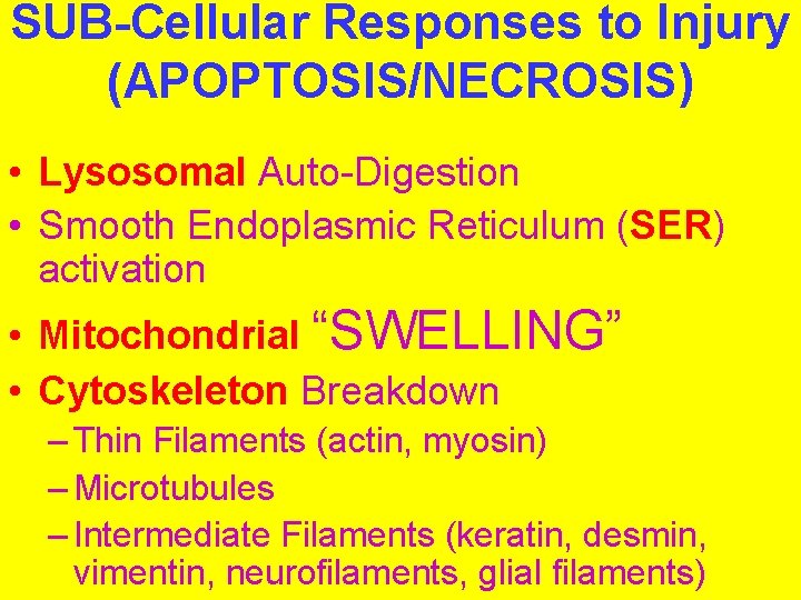 SUB-Cellular Responses to Injury (APOPTOSIS/NECROSIS) • Lysosomal Auto-Digestion • Smooth Endoplasmic Reticulum (SER) activation