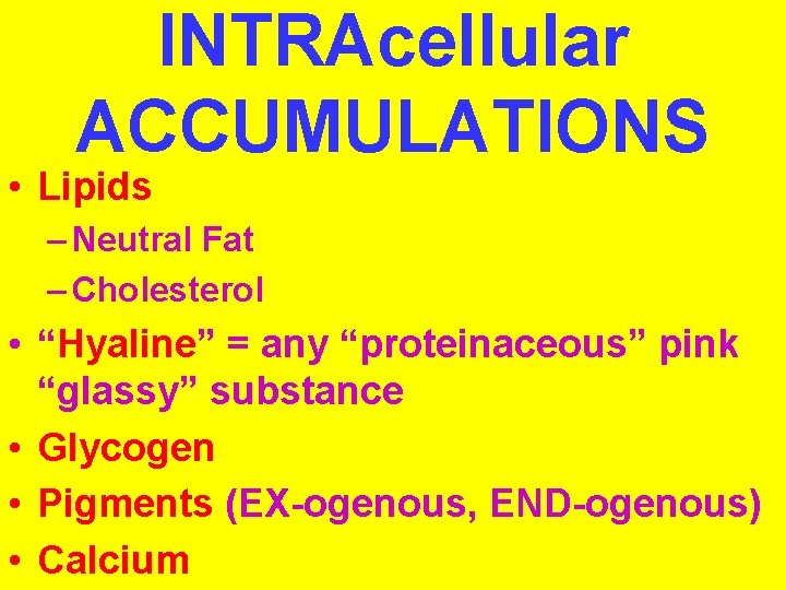 INTRAcellular ACCUMULATIONS • Lipids – Neutral Fat – Cholesterol • “Hyaline” = any “proteinaceous”