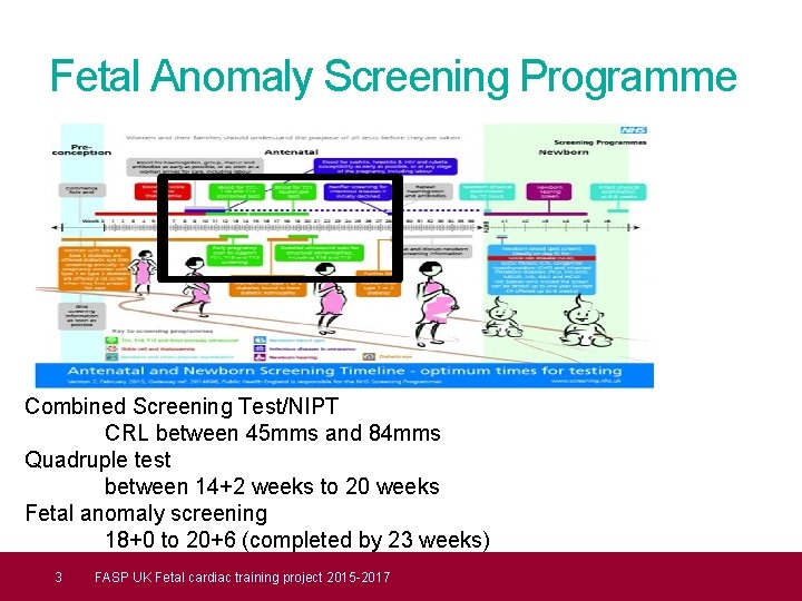 Fetal Anomaly Screening Programme Combined Screening Test/NIPT CRL between 45 mms and 84 mms