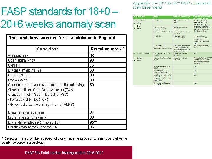 FASP standards for 18+0 – 20+6 weeks anomaly scan The conditions screened for as
