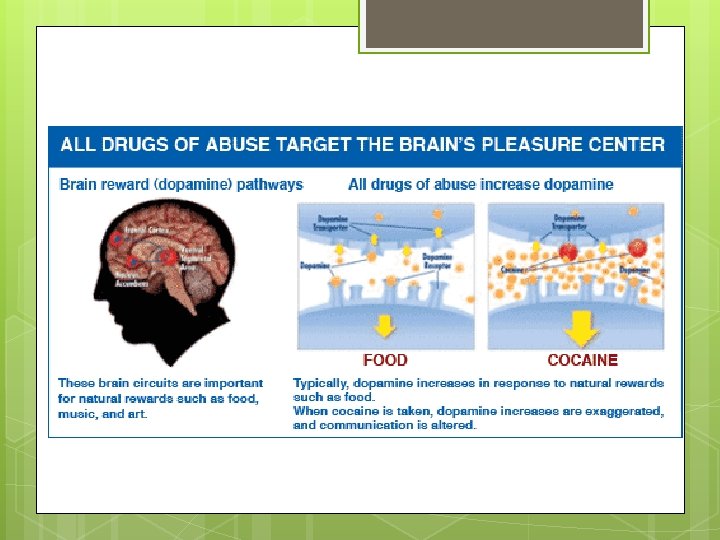 Dopamine and the brain 