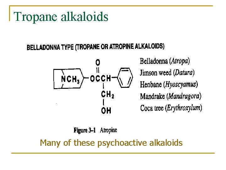 Tropane alkaloids Many of these psychoactive alkaloids 