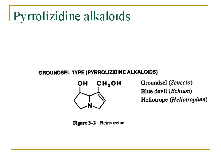 Pyrrolizidine alkaloids 