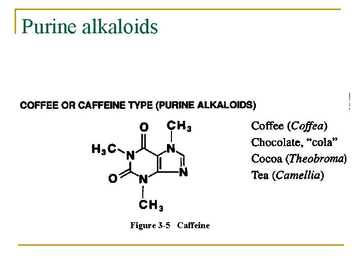 Purine alkaloids Figure 3 -5 Caffeine 