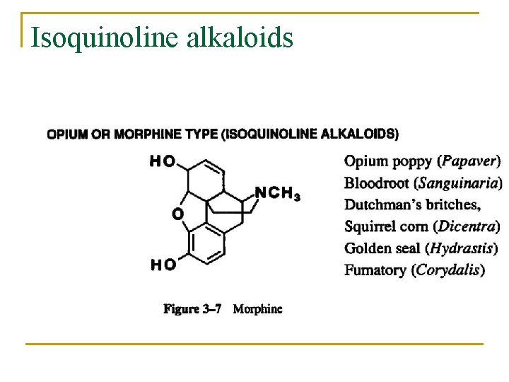 Isoquinoline alkaloids 