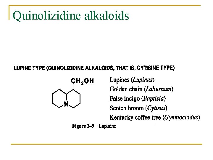 Quinolizidine alkaloids 