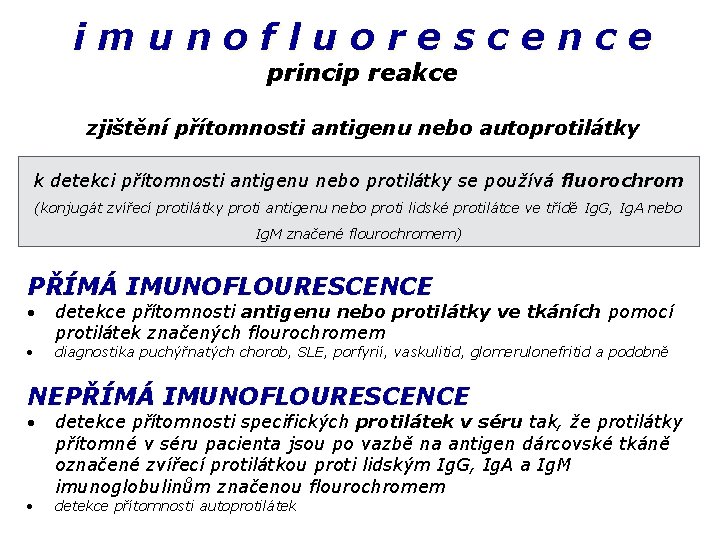 imunofluorescence princip reakce zjištění přítomnosti antigenu nebo autoprotilátky k detekci přítomnosti antigenu nebo protilátky
