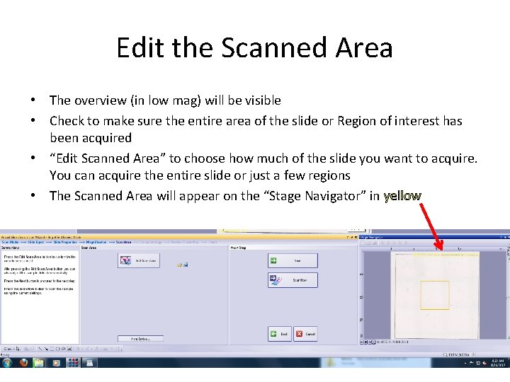 Edit the Scanned Area • The overview (in low mag) will be visible •