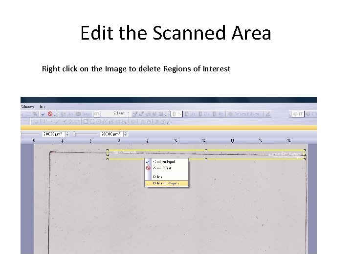 Edit the Scanned Area Right click on the Image to delete Regions of Interest