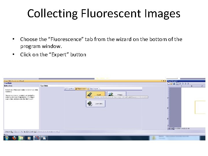 Collecting Fluorescent Images • Choose the “Fluorescence” tab from the wizard on the bottom