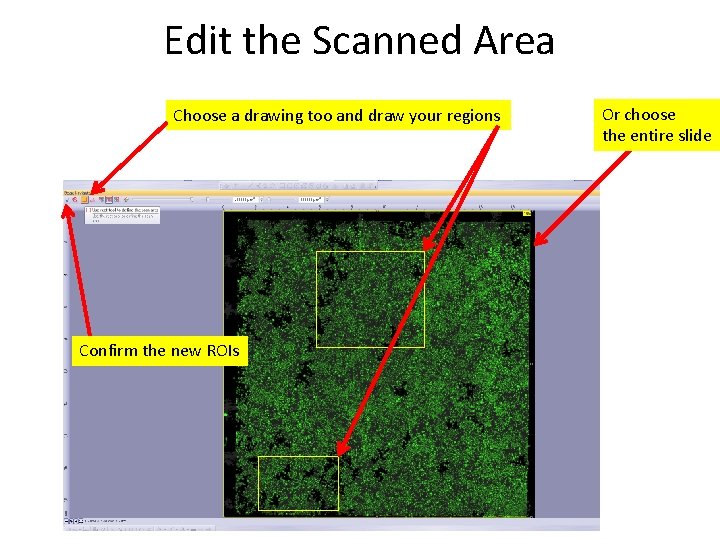 Edit the Scanned Area Choose a drawing too and draw your regions Confirm the