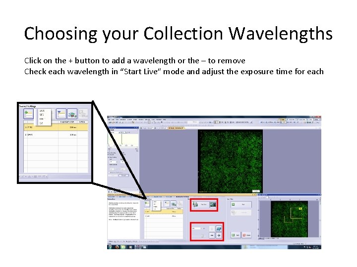 Choosing your Collection Wavelengths Click on the + button to add a wavelength or