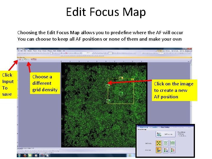 Edit Focus Map Choosing the Edit Focus Map allows you to predefine where the