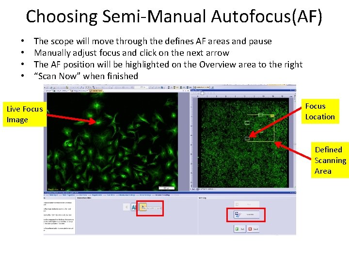 Choosing Semi-Manual Autofocus(AF) • • The scope will move through the defines AF areas