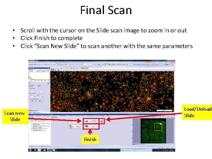 Final Scan • Scroll with the cursor on the Slide scan image to zoom