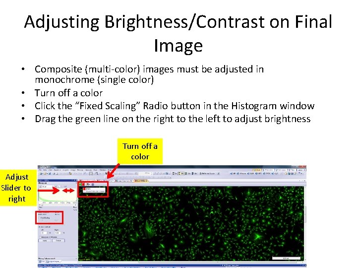 Adjusting Brightness/Contrast on Final Image • Composite (multi-color) images must be adjusted in monochrome