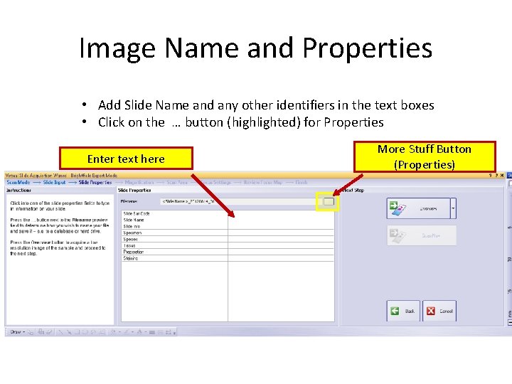 Image Name and Properties • Add Slide Name and any other identifiers in the