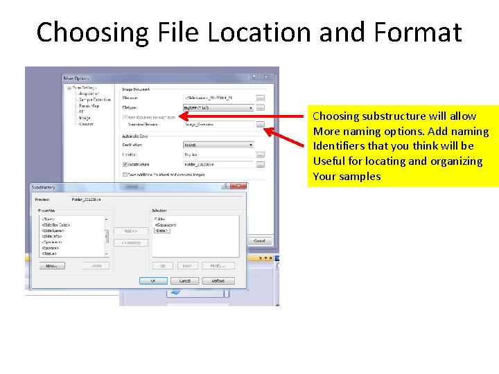Choosing File Location and Format Choosing substructure will allow More naming options. Add naming