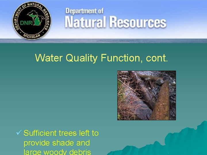 Water Quality Function, cont. ü Sufficient trees left to provide shade and 