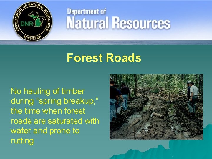 Forest Roads No hauling of timber during “spring breakup, ” the time when forest