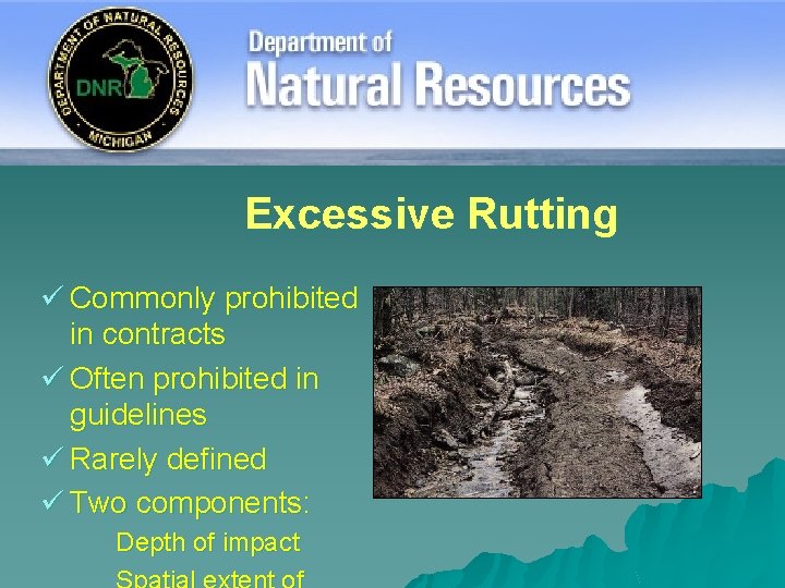 Excessive Rutting ü Commonly prohibited in contracts ü Often prohibited in guidelines ü Rarely