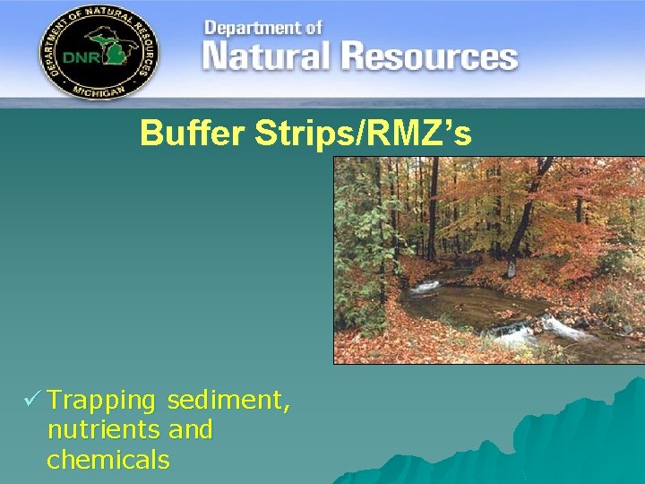 Buffer Strips/RMZ’s ü Trapping sediment, nutrients and chemicals 