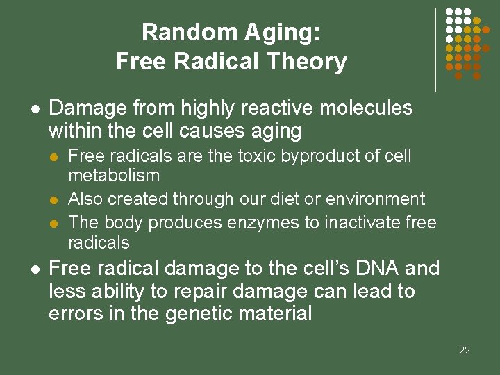 Random Aging: Free Radical Theory l Damage from highly reactive molecules within the cell
