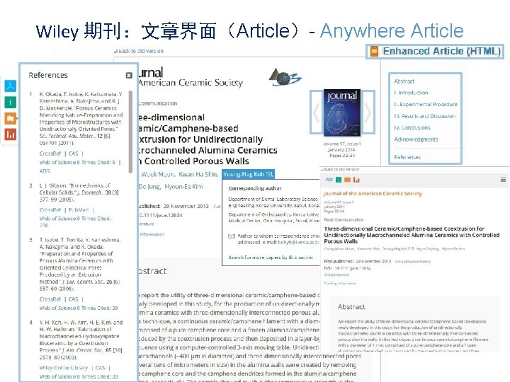 Wiley 期刊：文章界面（Article）- Anywhere Article 19 