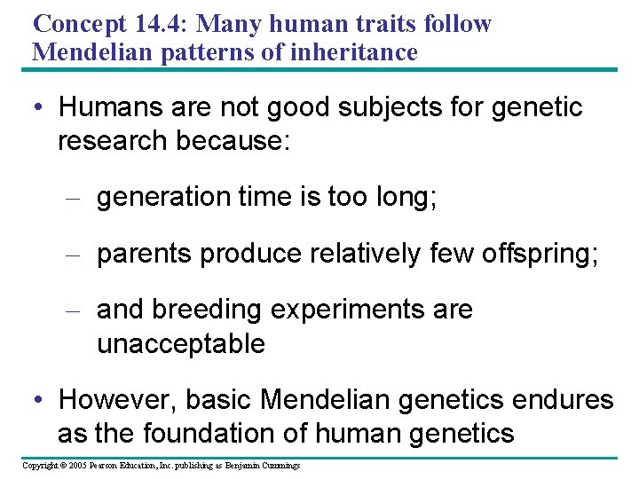 Concept 14. 4: Many human traits follow Mendelian patterns of inheritance • Humans are