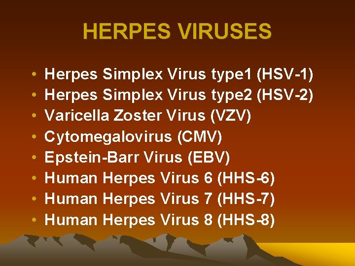 HERPES VIRUSES • • Herpes Simplex Virus type 1 (HSV-1) Herpes Simplex Virus type