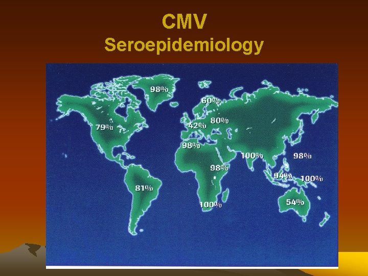 CMV Seroepidemiology 