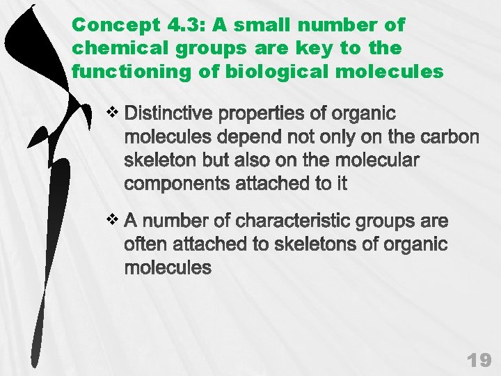 Concept 4. 3: A small number of chemical groups are key to the functioning