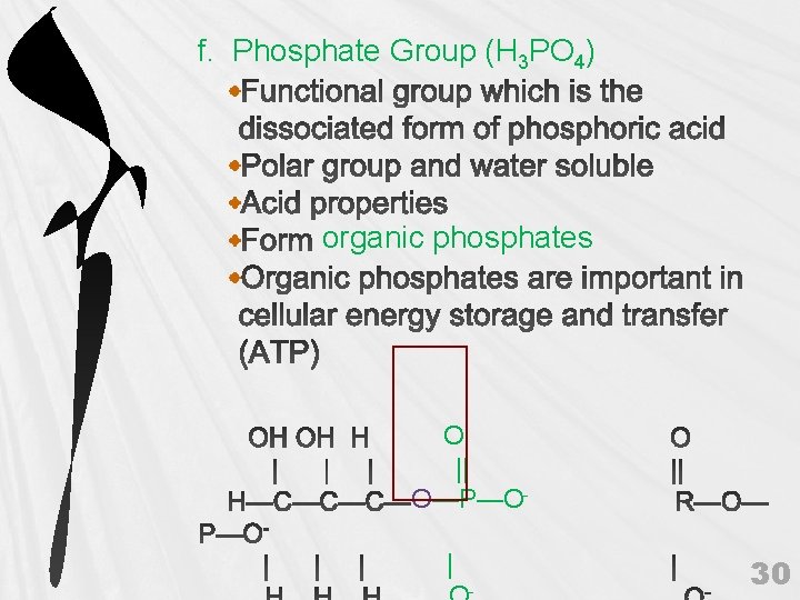 f. Phosphate Group (H 3 PO 4) organic phosphates O || O—P—O| - 30