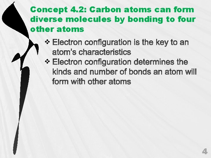 Concept 4. 2: Carbon atoms can form diverse molecules by bonding to four other