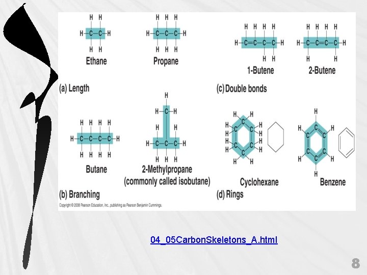 04_05 Carbon. Skeletons_A. html 8 