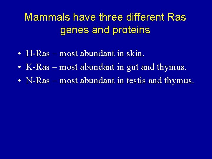 Mammals have three different Ras genes and proteins • H-Ras – most abundant in