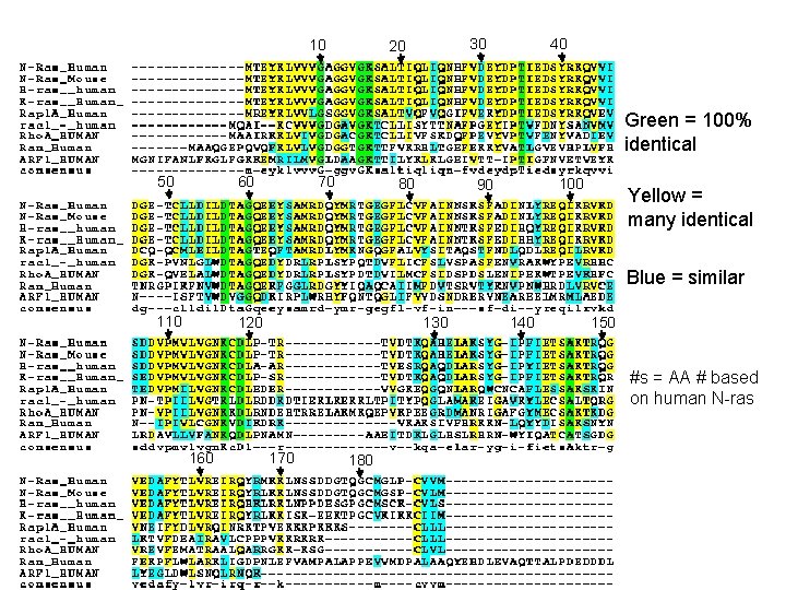 10 30 20 40 Green = 100% identical 50 60 70 80 100 90