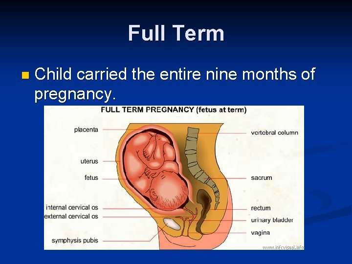 Full Term n Child carried the entire nine months of pregnancy. 