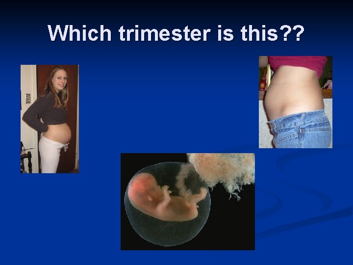 Which trimester is this? ? 