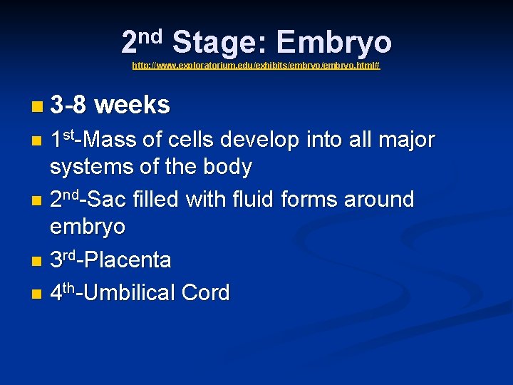 2 nd Stage: Embryo http: //www. exploratorium. edu/exhibits/embryo. html# n 3 -8 weeks 1