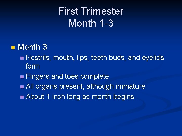 First Trimester Month 1 -3 n Month 3 Nostrils, mouth, lips, teeth buds, and