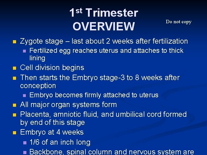 1 st Trimester OVERVIEW n Zygote stage – last about 2 weeks after fertilization