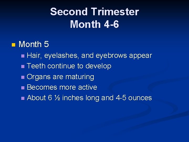 Second Trimester Month 4 -6 n Month 5 Hair, eyelashes, and eyebrows appear n