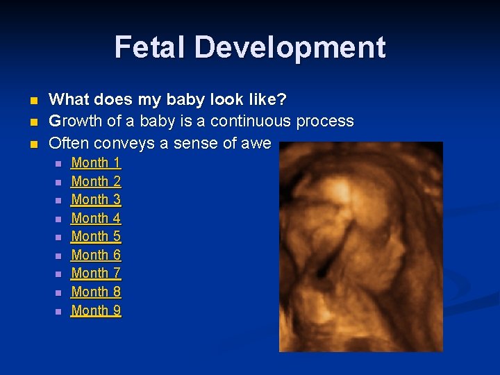Fetal Development n n n What does my baby look like? Growth of a