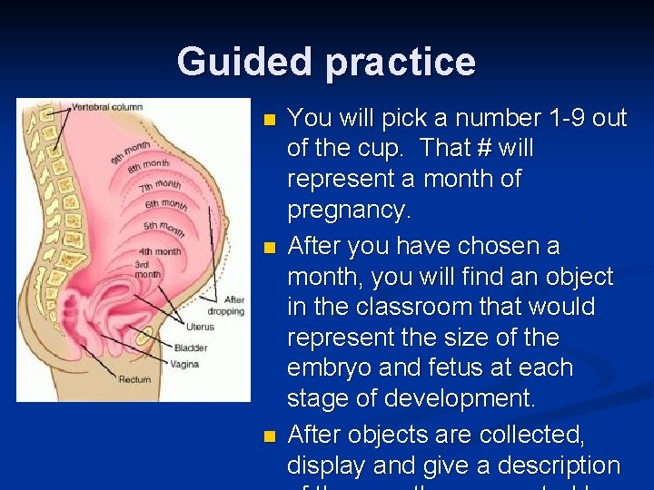 Guided practice n n n You will pick a number 1 -9 out of