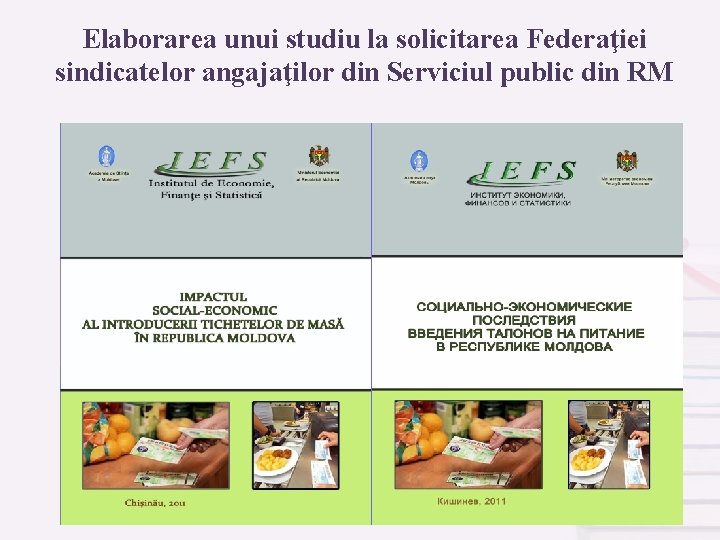 Elaborarea unui studiu la solicitarea Federaţiei sindicatelor angajaţilor din Serviciul public din RM IEFS