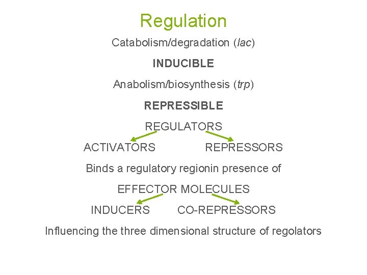 Regulation Catabolism/degradation (lac) INDUCIBLE Anabolism/biosynthesis (trp) REPRESSIBLE REGULATORS ACTIVATORS REPRESSORS Binds a regulatory regionin