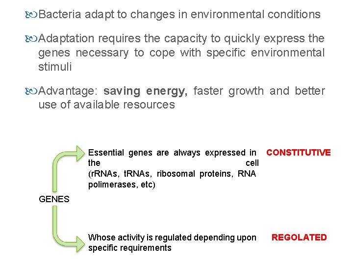  Bacteria adapt to changes in environmental conditions Adaptation requires the capacity to quickly