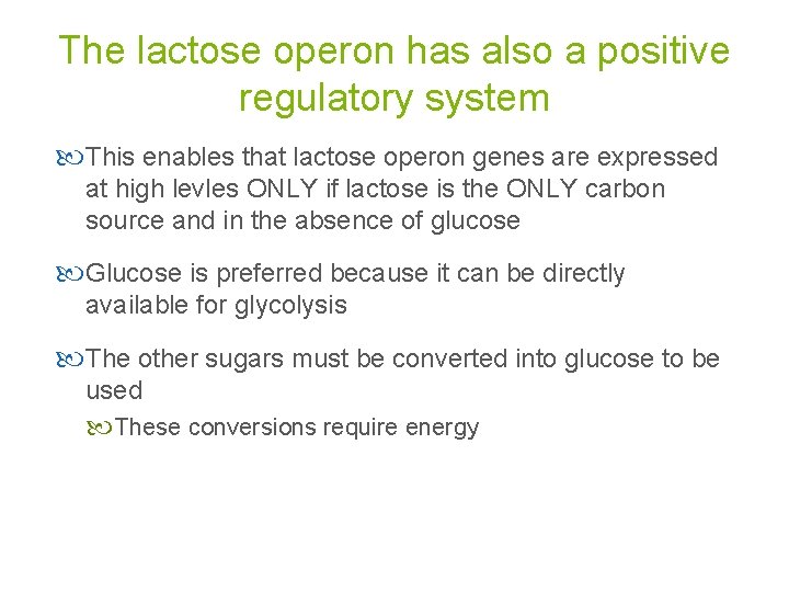 The lactose operon has also a positive regulatory system This enables that lactose operon